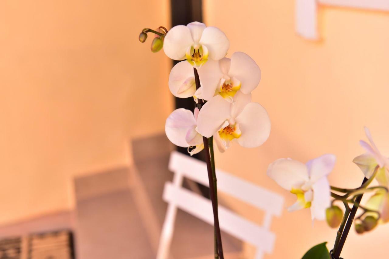 Casa Soare - Ultracentral Guesthouse Сібіу Екстер'єр фото